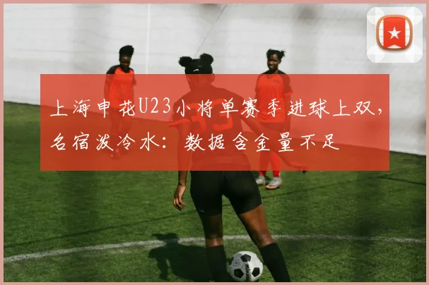 上海申花U23小将单赛季进球上双，名宿泼冷水：数据含金量不足